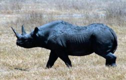 428493_560480607335883_556735702_n