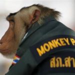 Puestos a reprimir y meter miedo, ¿a quién más podrían darle autoridad para realizar detenciones en la&nbsp;calle?