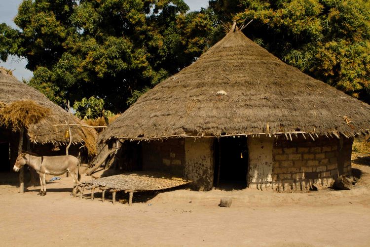 Arquitectura tradicional de la región de Kolda, en el interior de La Casamance